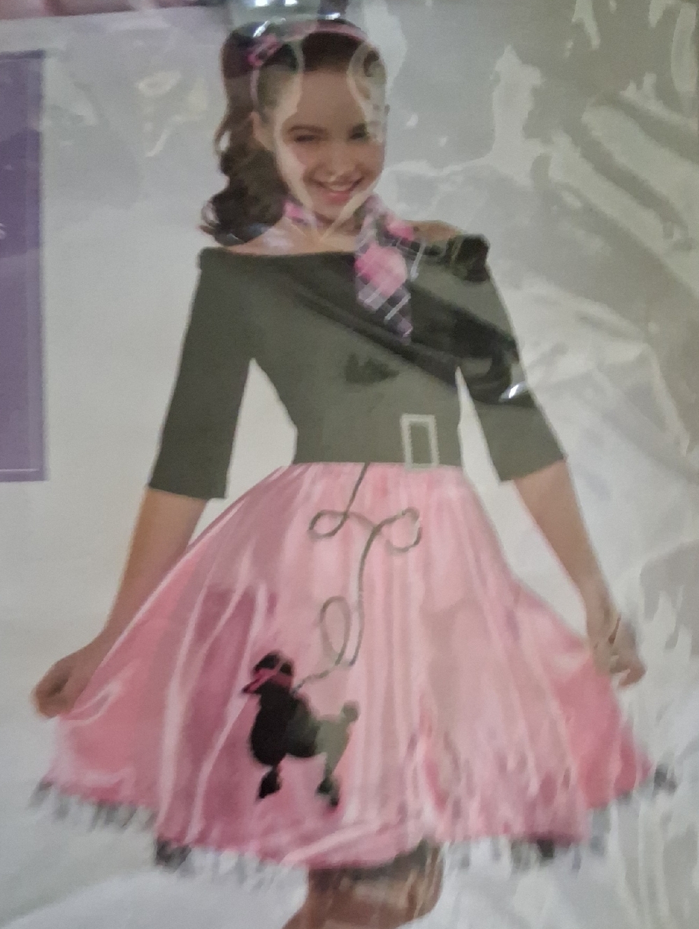 Girls Pink 50s Poodle Skirt Costume